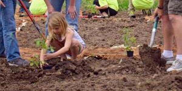 girl planting in garden